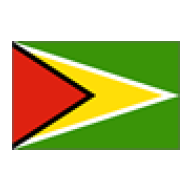 Bandera de Guyana
